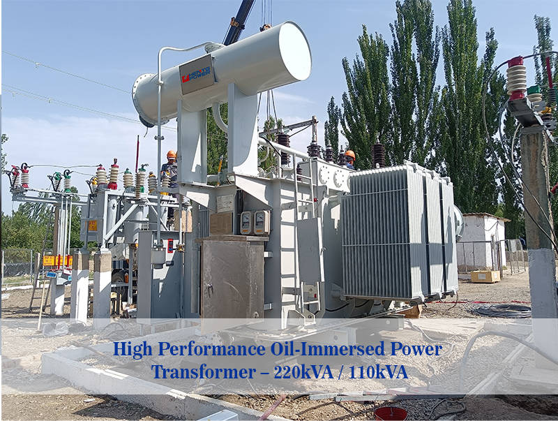 High Performance Three-Phase O - Renewable Energy Industry のレビューと価格